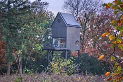Дом-скворечник в Нидерландах