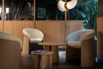 Коллекция стульев Ginger